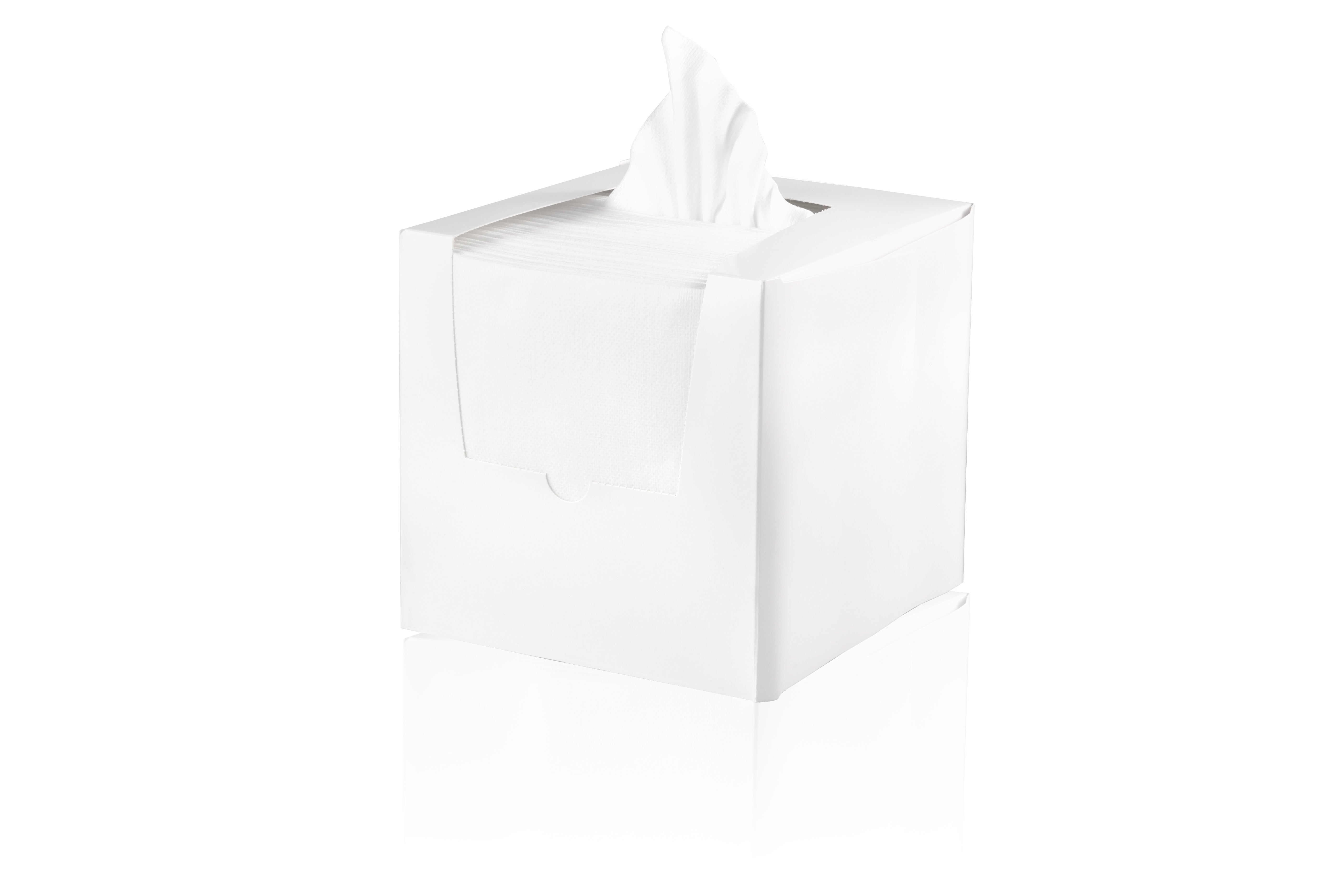 BBS Facial Wipes (300mm x 300mm) 100pk