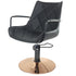 Taylor - GOLD Disc Hydraulic   Black Upholstery [DEL]