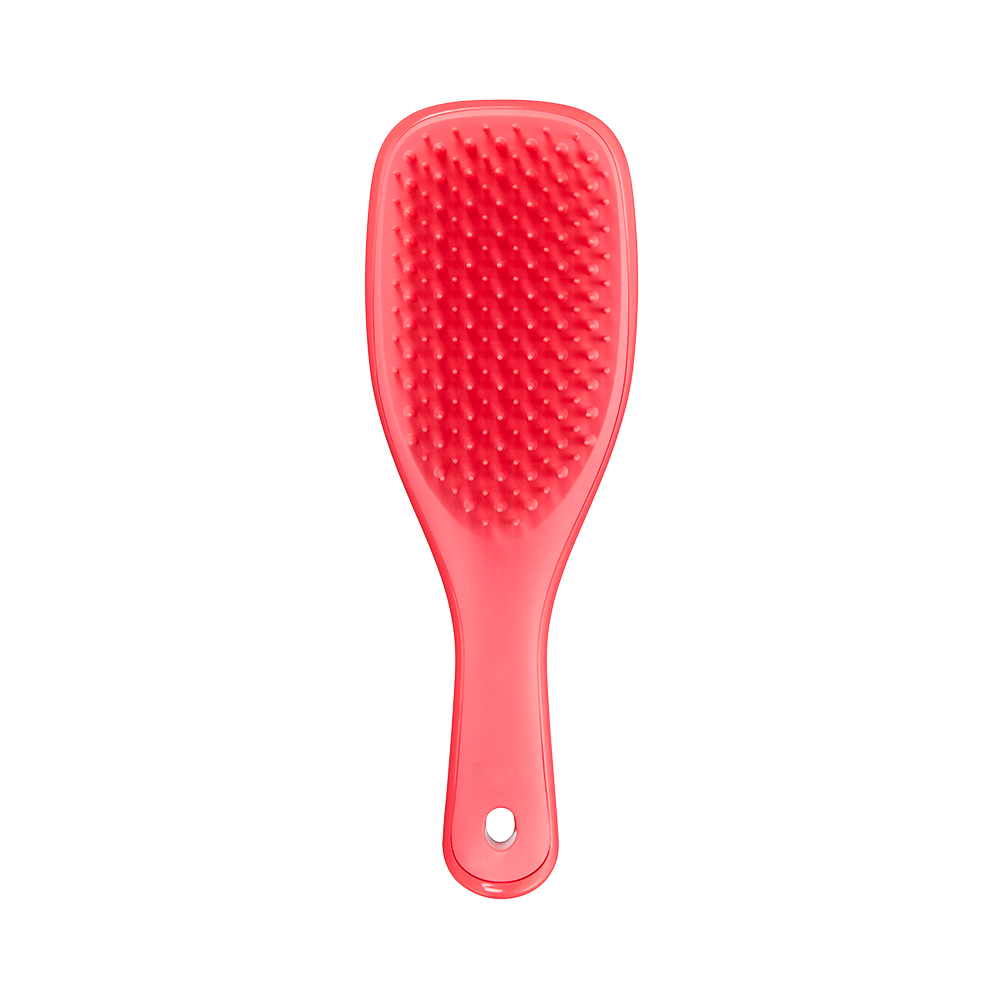 Tangle Teezer Detangler Mini Pink Punch[OOS]