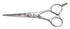 Kasho Design Master 6.0 Straight Scissor