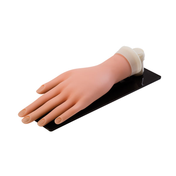 HAWLEY PRACTICE TRAINING HAND (SOFT) ON STAND
