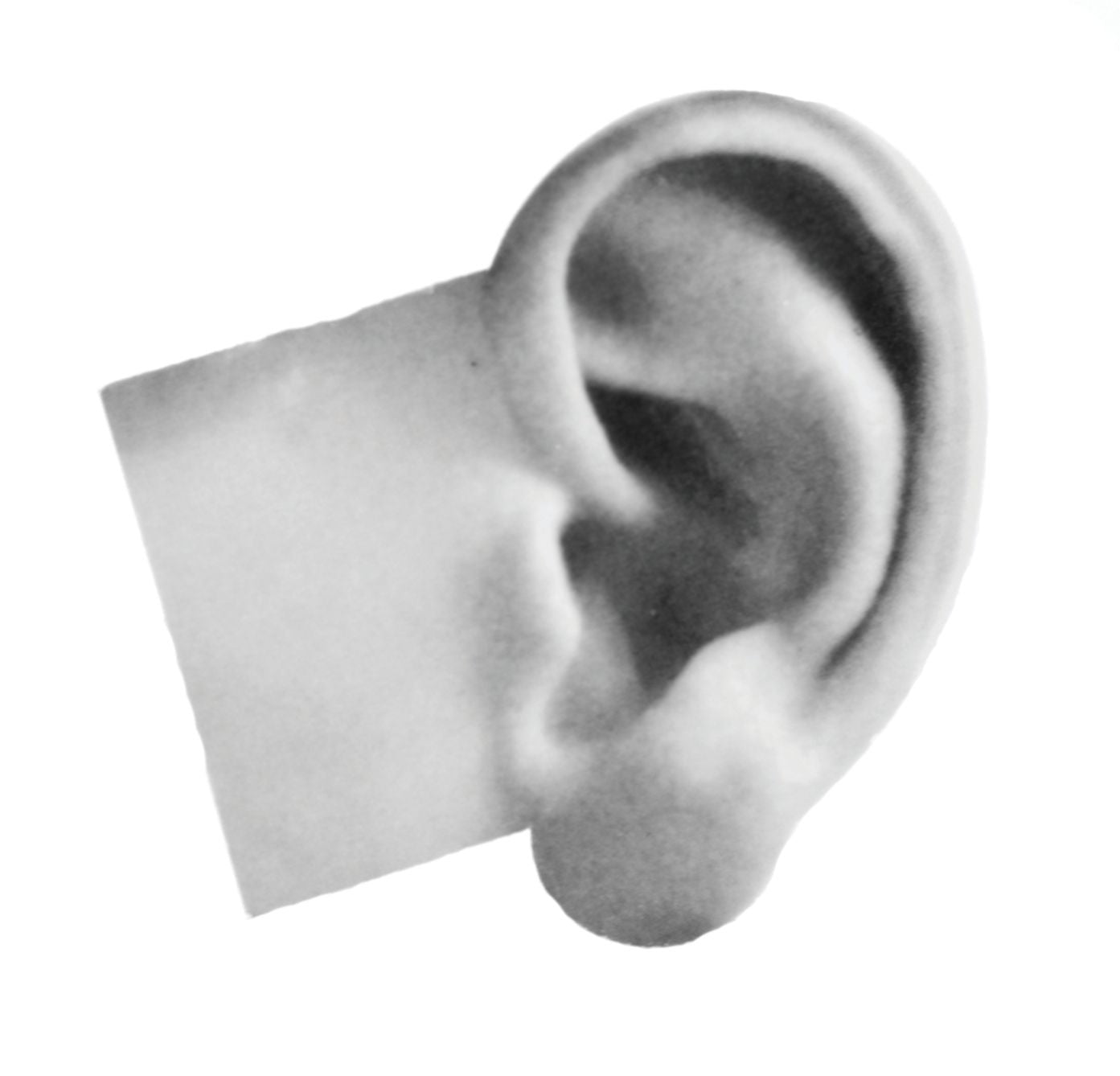 Caflon Blu Practice Ear